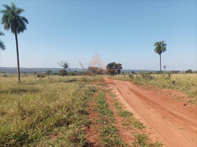 Aliança Imóveis - Imobiliária em Ribeirão Preto - SP - Fazenda  - Zona Rural - Paranaíba