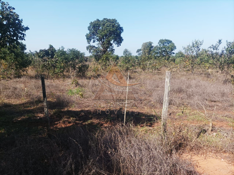 Aliança Imóveis - Imobiliária em Ribeirão Preto - SP - Fazenda  - Zona Rural - Paranaíba