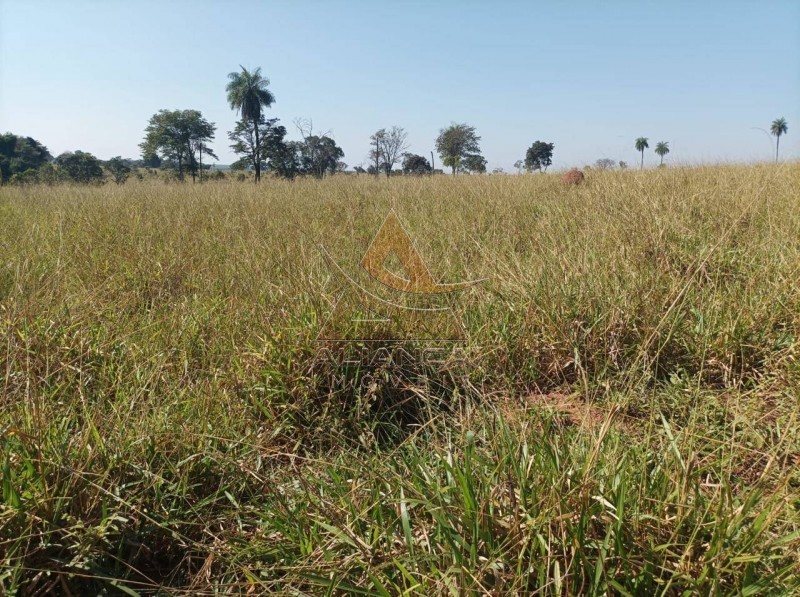 Aliança Imóveis - Imobiliária em Ribeirão Preto - SP - Fazenda  - Zona Rural - Paranaíba