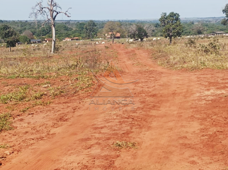 Aliança Imóveis - Imobiliária em Ribeirão Preto - SP - Fazenda  - Zona Rural - Paranaíba