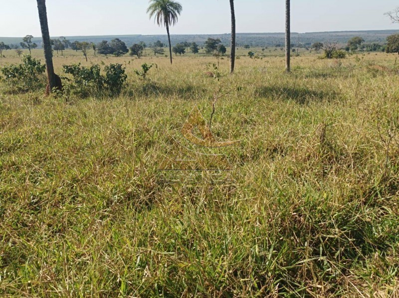 Aliança Imóveis - Imobiliária em Ribeirão Preto - SP - Fazenda  - Zona Rural - Paranaíba