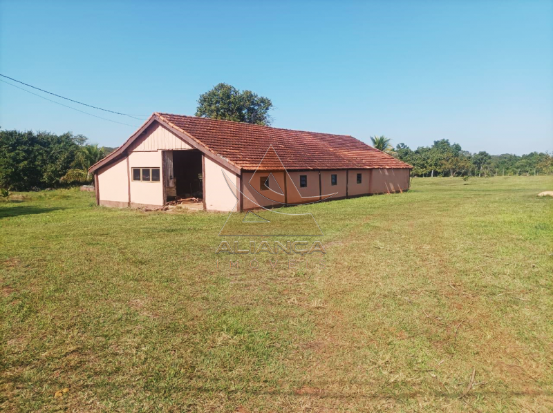 Aliança Imóveis - Imobiliária em Ribeirão Preto - SP - Fazenda  - Zona Rural - Paranaíba
