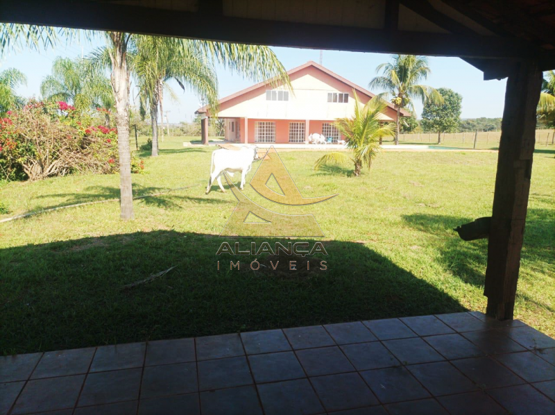 Aliança Imóveis - Imobiliária em Ribeirão Preto - SP - Fazenda  - Zona Rural - Paranaíba