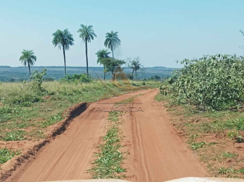 Aliança Imóveis - Imobiliária em Ribeirão Preto - SP - Fazenda  - Zona Rural - Paranaíba