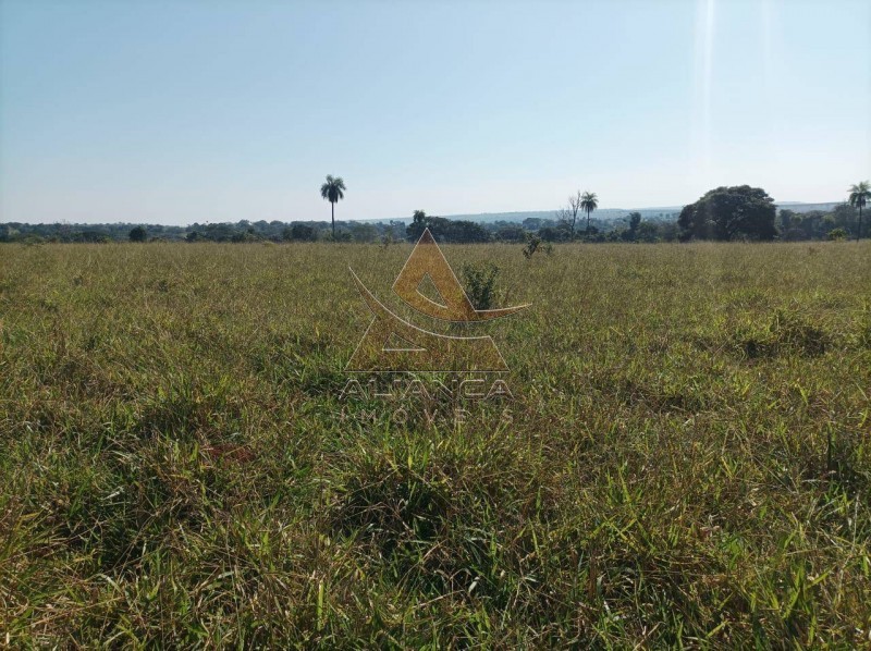 Aliança Imóveis - Imobiliária em Ribeirão Preto - SP - Fazenda  - Zona Rural - Paranaíba