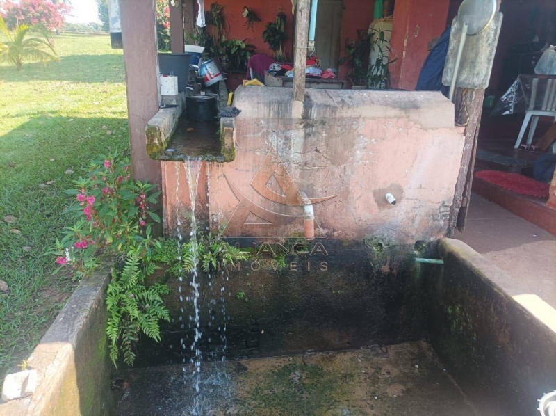 Aliança Imóveis - Imobiliária em Ribeirão Preto - SP - Fazenda  - Zona Rural - Paranaíba