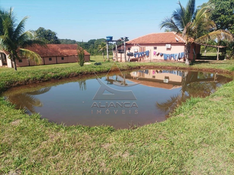 Aliança Imóveis - Imobiliária em Ribeirão Preto - SP - Fazenda  - Zona Rural - Paranaíba