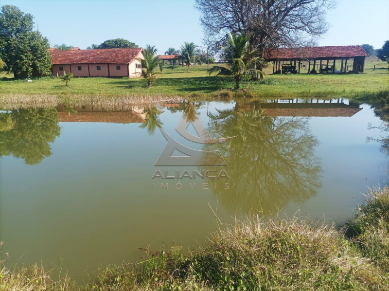Aliança Imóveis - Imobiliária em Ribeirão Preto - SP - Fazenda  - Zona Rural - Paranaíba