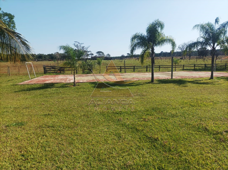 Aliança Imóveis - Imobiliária em Ribeirão Preto - SP - Fazenda  - Zona Rural - Paranaíba