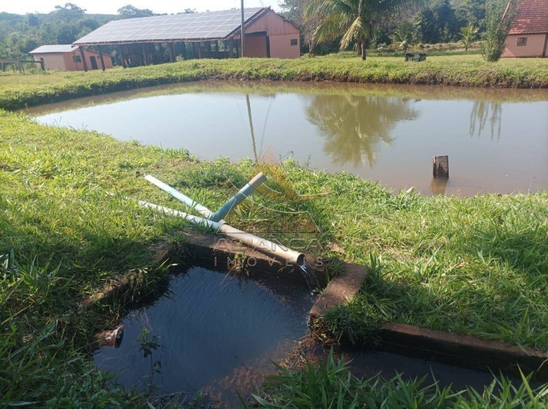Aliança Imóveis - Imobiliária em Ribeirão Preto - SP - Fazenda  - Zona Rural - Paranaíba