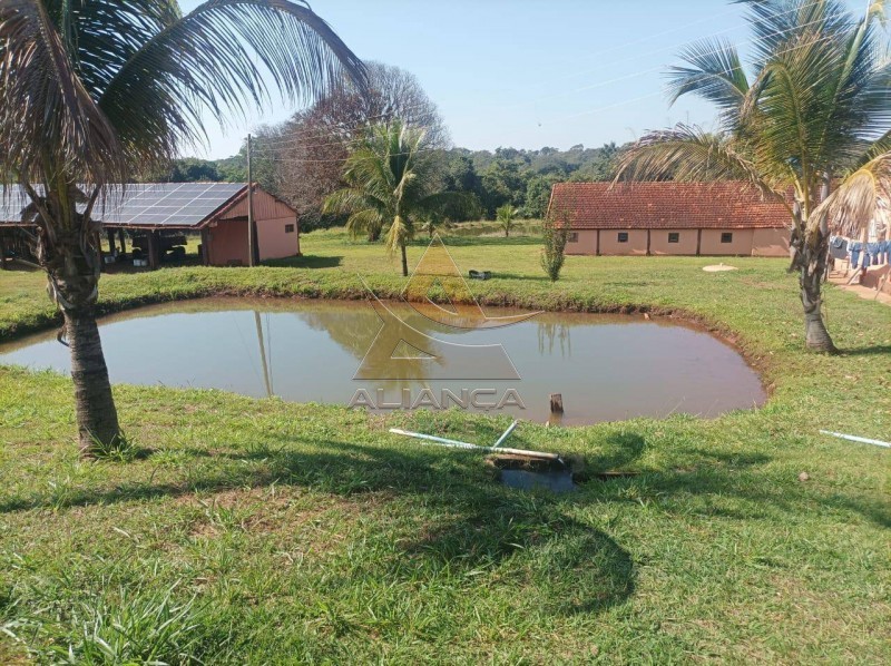 Aliança Imóveis - Imobiliária em Ribeirão Preto - SP - Fazenda  - Zona Rural - Paranaíba