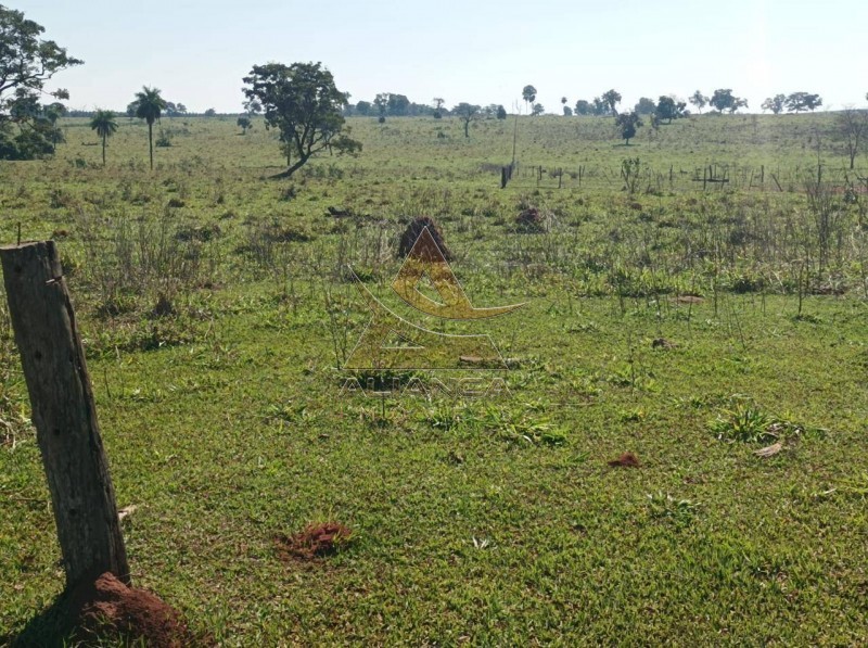 Aliança Imóveis - Imobiliária em Ribeirão Preto - SP - Fazenda  - Zona Rural - Paranaíba
