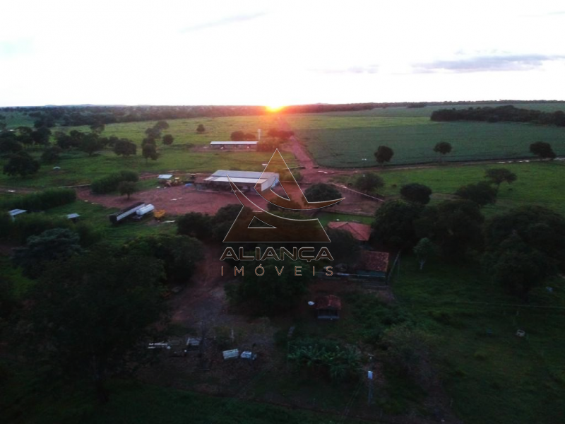 Aliança Imóveis - Imobiliária em Ribeirão Preto - SP - Fazenda  - Zona Rural - Bonópolis