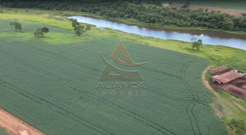 Aliança Imóveis - Imobiliária em Ribeirão Preto - SP - Fazenda  - Zona Rural - Bonópolis