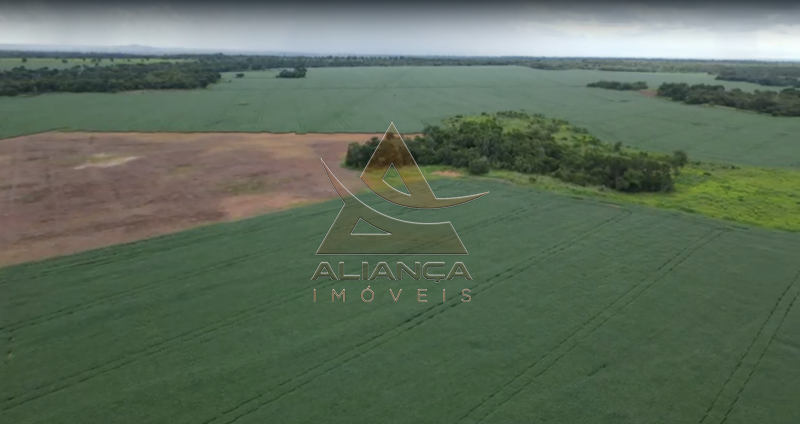 Aliança Imóveis - Imobiliária em Ribeirão Preto - SP - Fazenda  - Zona Rural - Bonópolis