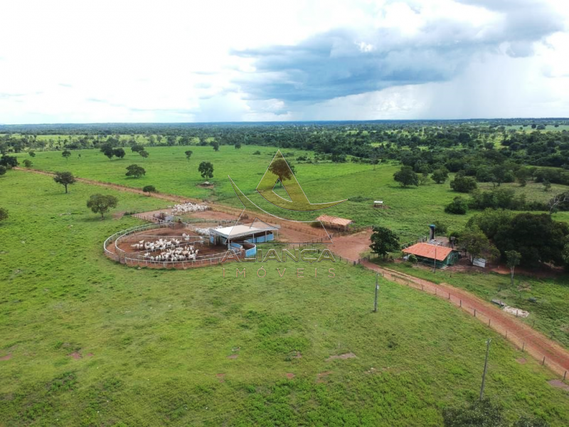 Aliança Imóveis - Imobiliária em Ribeirão Preto - SP - Fazenda  - Zona Rural - Bonópolis