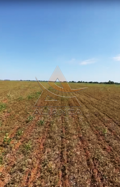 Aliança Imóveis - Imobiliária em Ribeirão Preto - SP - Fazenda  - Zona Rural - Bonópolis