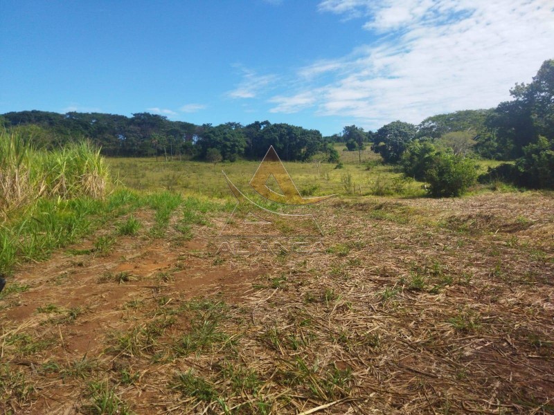 Aliança Imóveis - Imobiliária em Ribeirão Preto - SP - Sítio - Zona Rural - Mococa