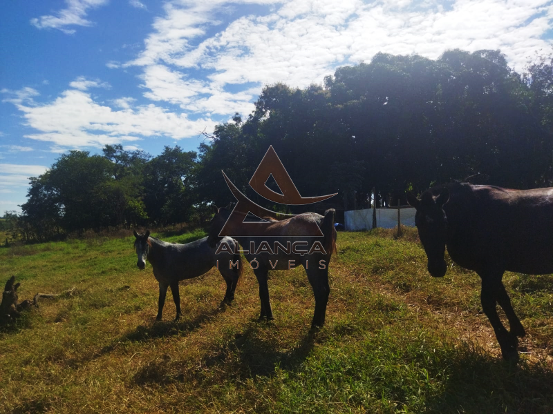 Aliança Imóveis - Imobiliária em Ribeirão Preto - SP - Sítio - Zona Rural - Mococa