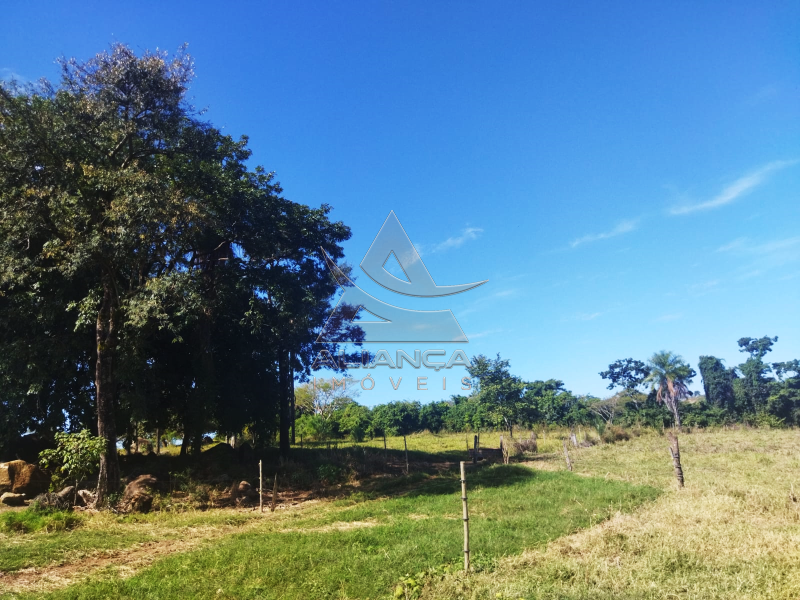 Aliança Imóveis - Imobiliária em Ribeirão Preto - SP - Sítio - Zona Rural - Mococa