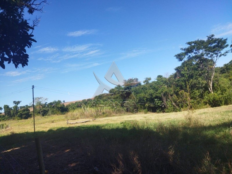 Aliança Imóveis - Imobiliária em Ribeirão Preto - SP - Sítio - Zona Rural - Mococa