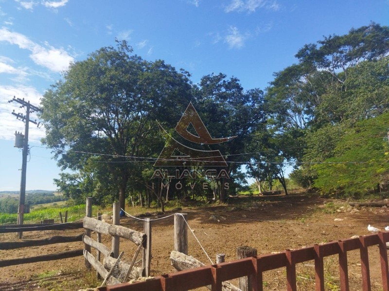 Aliança Imóveis - Imobiliária em Ribeirão Preto - SP - Sítio - Zona Rural - Mococa