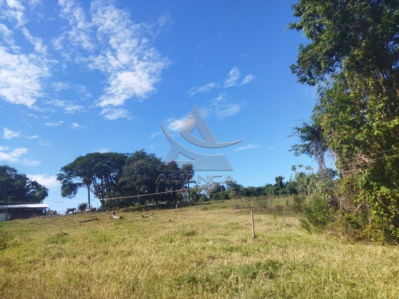 Aliança Imóveis - Imobiliária em Ribeirão Preto - SP - Sítio - Zona Rural - Mococa
