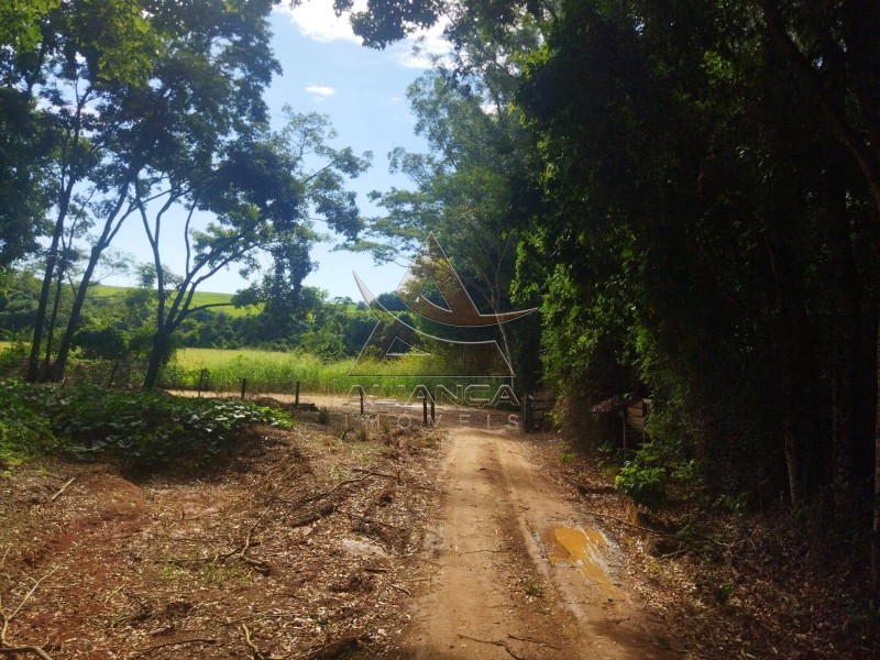 Aliança Imóveis - Imobiliária em Ribeirão Preto - SP - Sítio - Zona Rural - Mococa
