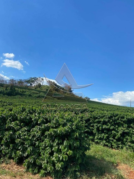 Aliança Imóveis - Imobiliária em Ribeirão Preto - SP - Sítio - Zona Rural - Altinópolis 