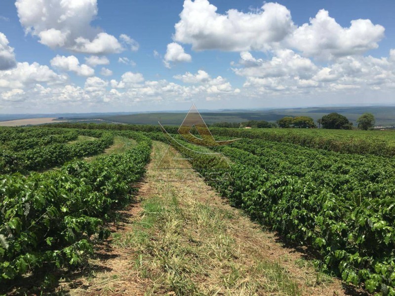 Aliança Imóveis - Imobiliária em Ribeirão Preto - SP - Sítio - Zona Rural - Altinópolis 