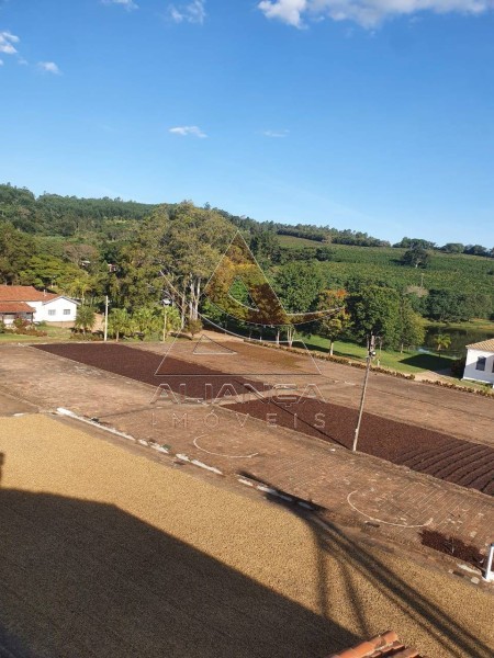 Aliança Imóveis - Imobiliária em Ribeirão Preto - SP - Fazenda  - Zona Rural - Amparo