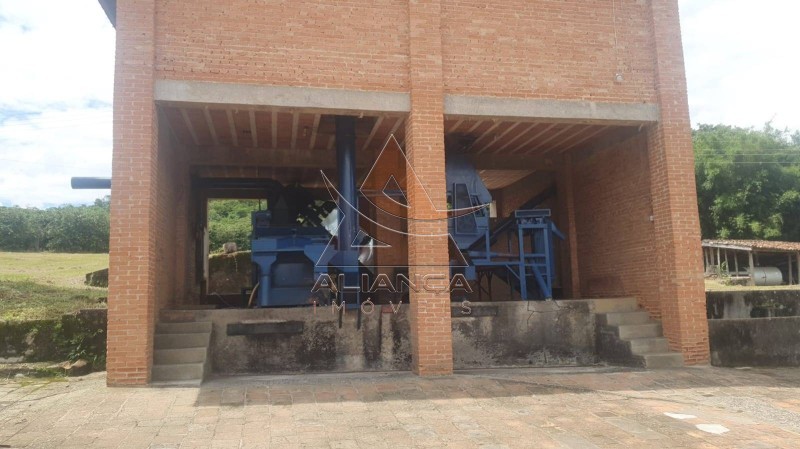 Aliança Imóveis - Imobiliária em Ribeirão Preto - SP - Fazenda  - Zona Rural - Amparo