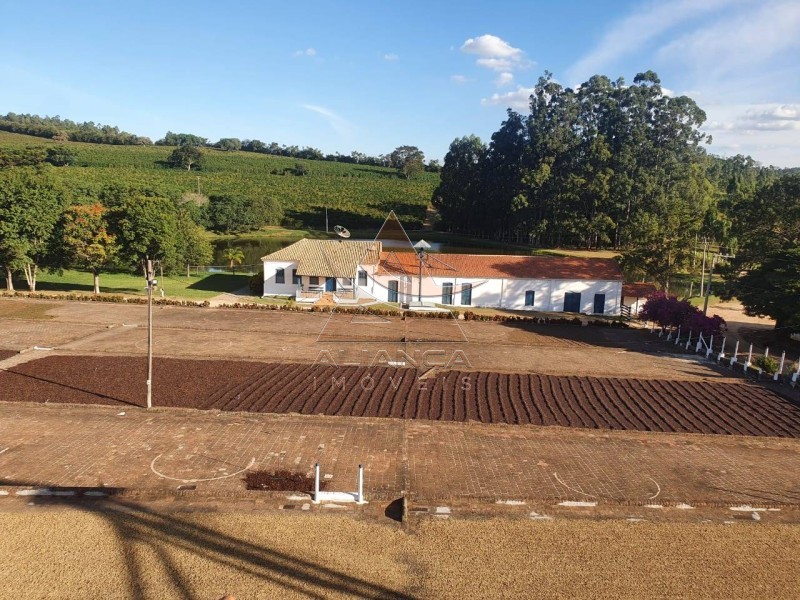 Aliança Imóveis - Imobiliária em Ribeirão Preto - SP - Fazenda  - Zona Rural - Amparo