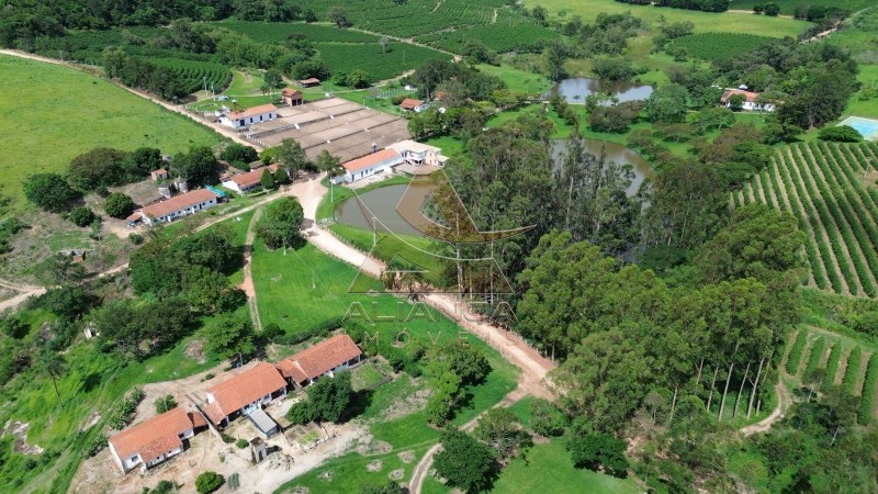 Aliança Imóveis - Imobiliária em Ribeirão Preto - SP - Fazenda  - Zona Rural - Amparo