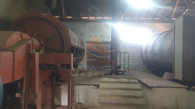 Aliança Imóveis - Imobiliária em Ribeirão Preto - SP - Fazenda  - Zona Rural - Amparo