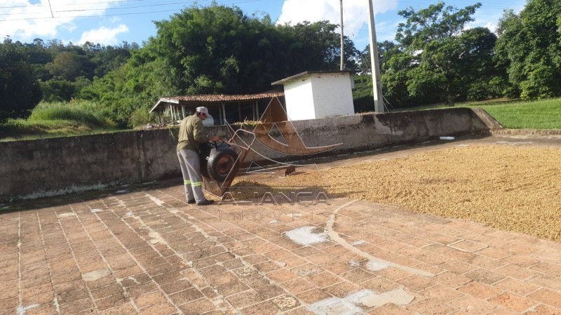 Aliança Imóveis - Imobiliária em Ribeirão Preto - SP - Fazenda  - Zona Rural - Amparo