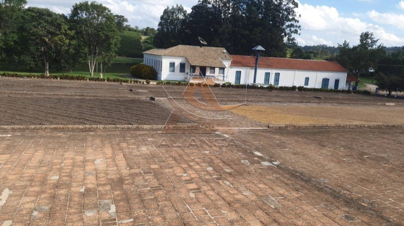 Aliança Imóveis - Imobiliária em Ribeirão Preto - SP - Fazenda  - Zona Rural - Amparo