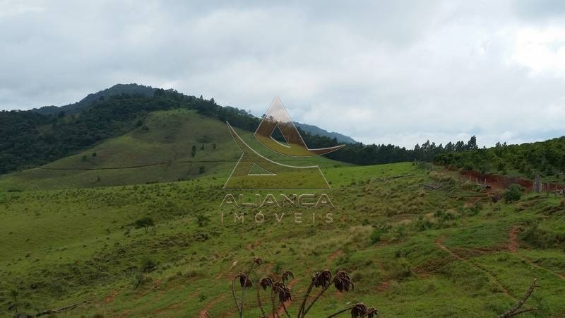 Aliança Imóveis - Imobiliária em Ribeirão Preto - SP - Fazenda  - Zona Rural - Socorro