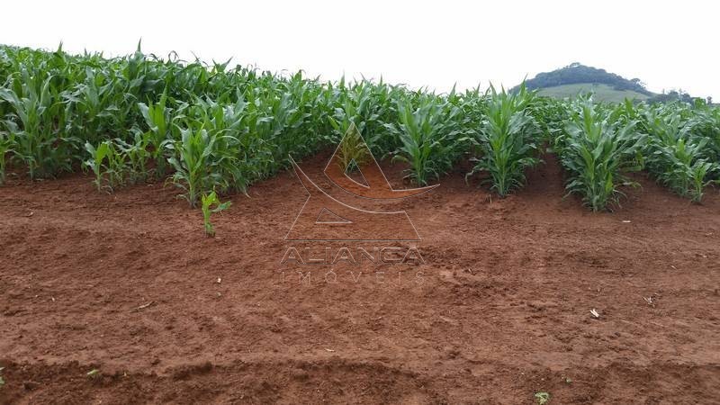 Aliança Imóveis - Imobiliária em Ribeirão Preto - SP - Fazenda  - Zona Rural - Socorro