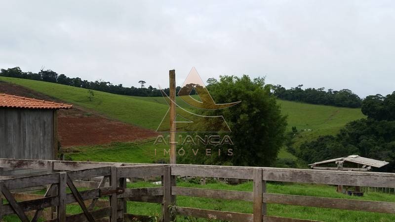 Aliança Imóveis - Imobiliária em Ribeirão Preto - SP - Fazenda  - Zona Rural - Socorro