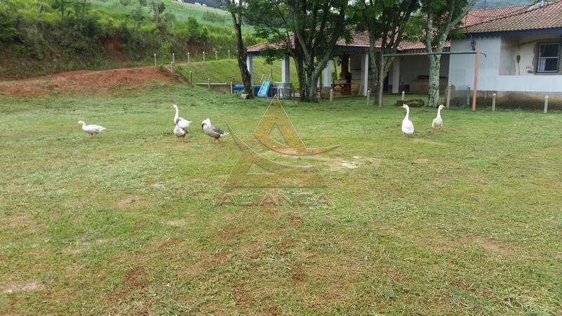 Aliança Imóveis - Imobiliária em Ribeirão Preto - SP - Fazenda  - Zona Rural - Socorro