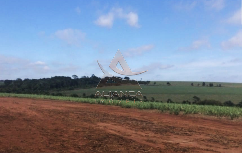 Aliança Imóveis - Imobiliária em Ribeirão Preto - SP - Fazenda  - Zona Rural - Araraquara