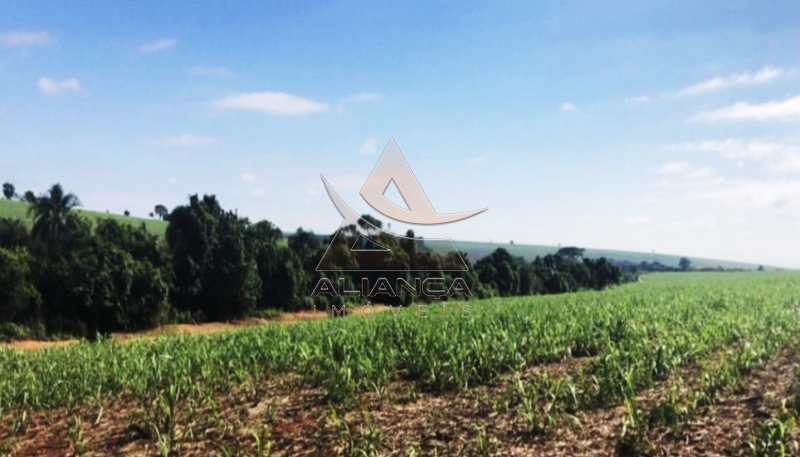 Aliança Imóveis - Imobiliária em Ribeirão Preto - SP - Fazenda  - Zona Rural - Araraquara