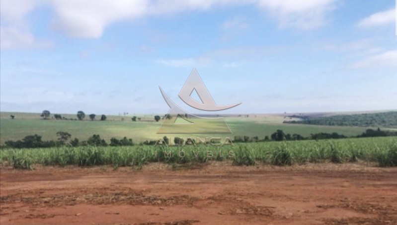 Aliança Imóveis - Imobiliária em Ribeirão Preto - SP - Fazenda  - Zona Rural - Araraquara
