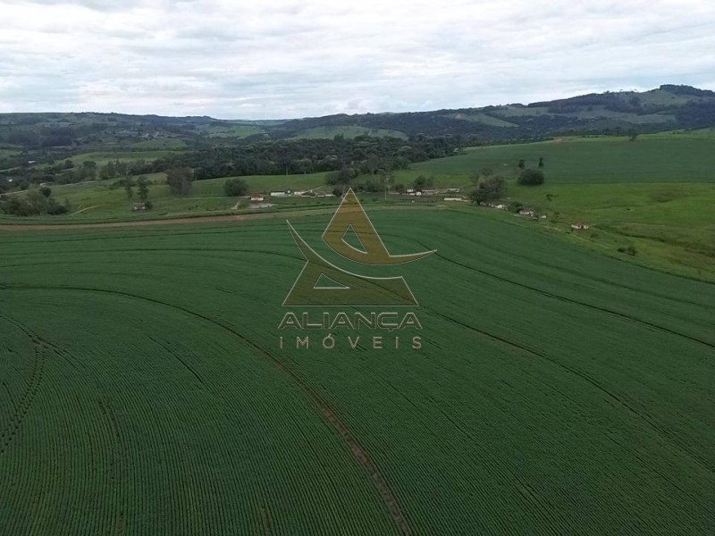 Aliança Imóveis - Imobiliária em Ribeirão Preto - SP - Fazenda  - Zona Rural - São José do Rio Pardo