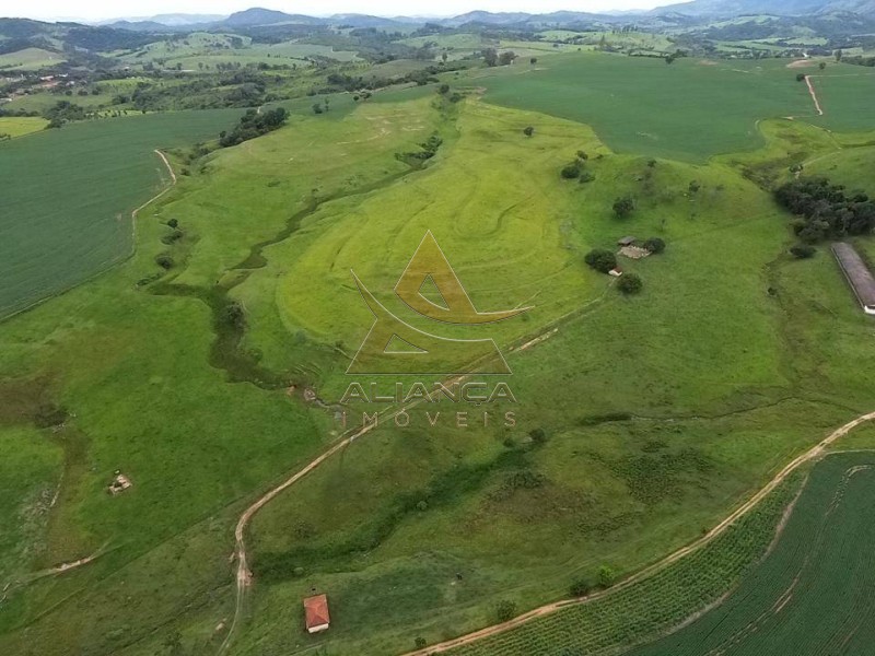 Aliança Imóveis - Imobiliária em Ribeirão Preto - SP - Fazenda  - Zona Rural - São José do Rio Pardo