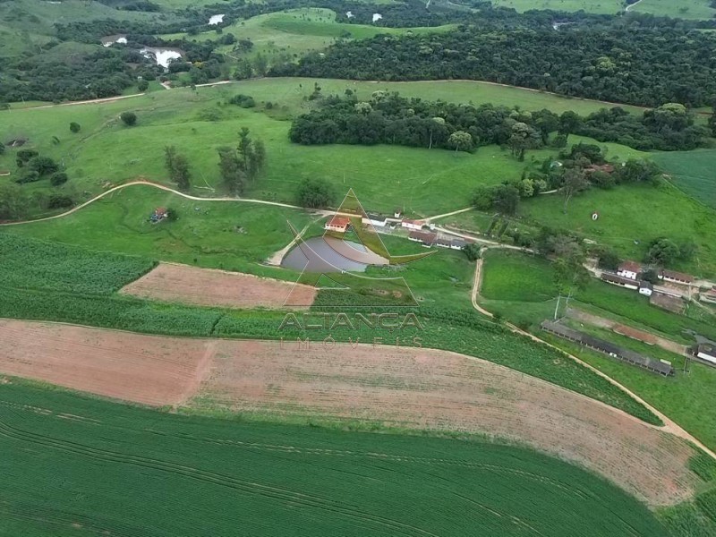Aliança Imóveis - Imobiliária em Ribeirão Preto - SP - Fazenda  - Zona Rural - São José do Rio Pardo