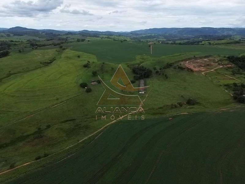 Aliança Imóveis - Imobiliária em Ribeirão Preto - SP - Fazenda  - Zona Rural - São José do Rio Pardo