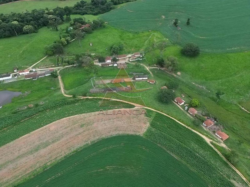 Aliança Imóveis - Imobiliária em Ribeirão Preto - SP - Fazenda  - Zona Rural - São José do Rio Pardo
