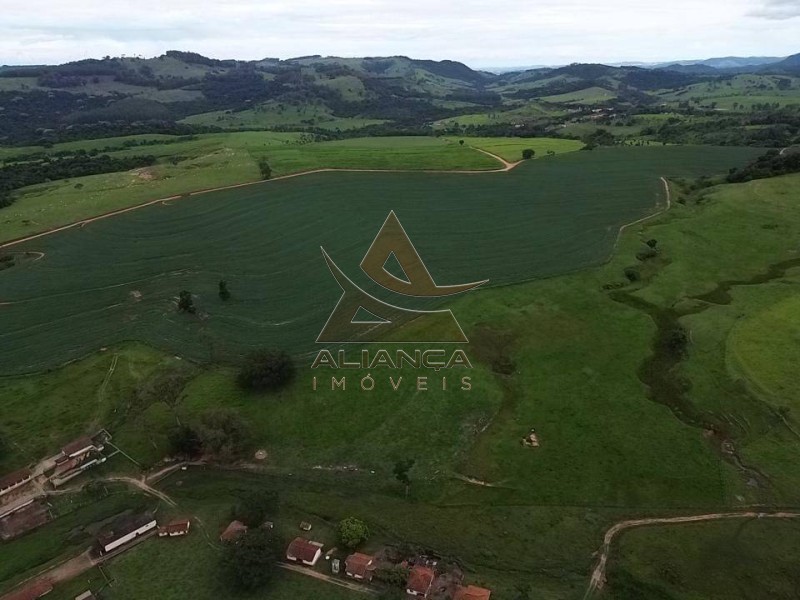 Aliança Imóveis - Imobiliária em Ribeirão Preto - SP - Fazenda  - Zona Rural - São José do Rio Pardo